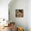 Wyeth: Treasure Island-Newell Convers Wyeth-Framed Stretched Canvas displayed on a wall
