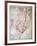 Wyld's Military Sketch of Zululand, 1879-James Wyld the Elder-Framed Giclee Print