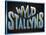 Wyld Stallyns-null-Stretched Canvas