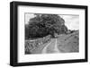 Wynlass Beck-Laura Marshall-Framed Photographic Print