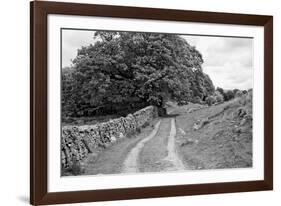 Wynlass Beck-Laura Marshall-Framed Photographic Print