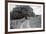 Wynlass Beck-Laura Marshall-Framed Photographic Print