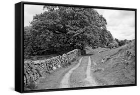 Wynlass Beck-Laura Marshall-Framed Stretched Canvas