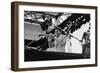 Wynton Marsalis, Knebworth, 1982-Brian O'Connor-Framed Premium Photographic Print