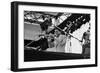 Wynton Marsalis, Knebworth, 1982-Brian O'Connor-Framed Premium Photographic Print