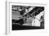 Wynton Marsalis, Knebworth, 1982-Brian O'Connor-Framed Premium Photographic Print