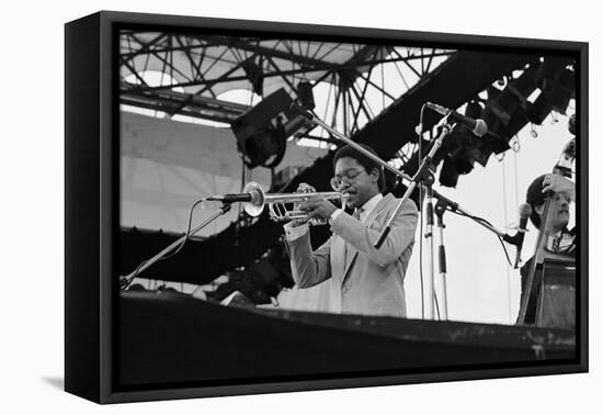 Wynton Marsalis, Knebworth, 1982-Brian O'Connor-Framed Stretched Canvas
