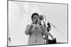 Wynton Marsalis, Knebworth, 1982-Brian O'Connor-Mounted Photographic Print