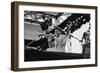 Wynton Marsalis, Knebworth, 1982-Brian O'Connor-Framed Photographic Print