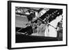 Wynton Marsalis, Knebworth, 1982-Brian O'Connor-Framed Photographic Print