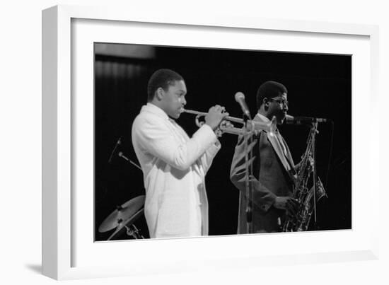 Wynton Marsalis (T Williams), Capital Jazz Festival, Rfh, London, 1988-Brian O'Connor-Framed Premium Photographic Print
