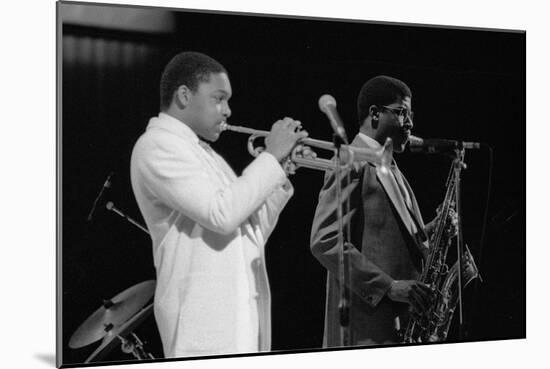 Wynton Marsalis (T Williams), Capital Jazz Festival, Rfh, London, 1988-Brian O'Connor-Mounted Photographic Print