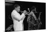 Wynton Marsalis (T Williams), Capital Jazz Festival, Rfh, London, 1988-Brian O'Connor-Mounted Photographic Print