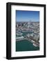 Wynyard Quarter, Viaduct Harbour and Auckland Waterfront, Auckland, North Island, New Zealand-David Wall-Framed Photographic Print