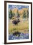 Wyoming, a Bull Moose Stands Near the Snake River at Schwabacher Landing in the Autumn-Elizabeth Boehm-Framed Photographic Print