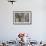 Wyoming, a Northern Flicker Removes a Fecal Sac from the Nest Cavity in a Cottonwood Tree-Elizabeth Boehm-Framed Photographic Print displayed on a wall