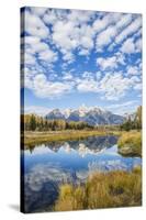 Wyoming, Autumn Color Along Snake River at Schwabacher Landing with Teton Mountains as a Backdrop-Elizabeth Boehm-Stretched Canvas