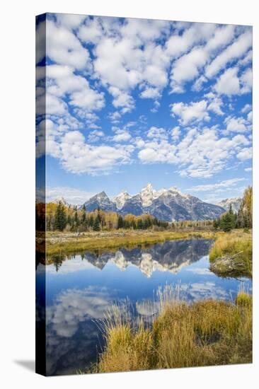 Wyoming, Autumn Color Along Snake River at Schwabacher Landing with Teton Mountains as a Backdrop-Elizabeth Boehm-Stretched Canvas