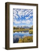 Wyoming, Autumn Color Along Snake River at Schwabacher Landing with Teton Mountains as a Backdrop-Elizabeth Boehm-Framed Photographic Print