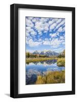 Wyoming, Autumn Color Along Snake River at Schwabacher Landing with Teton Mountains as a Backdrop-Elizabeth Boehm-Framed Photographic Print