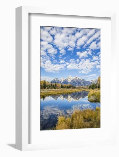 Wyoming, Autumn Color Along Snake River at Schwabacher Landing with Teton Mountains as a Backdrop-Elizabeth Boehm-Framed Photographic Print