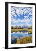 Wyoming, Autumn Color Along Snake River at Schwabacher Landing with Teton Mountains as a Backdrop-Elizabeth Boehm-Framed Photographic Print