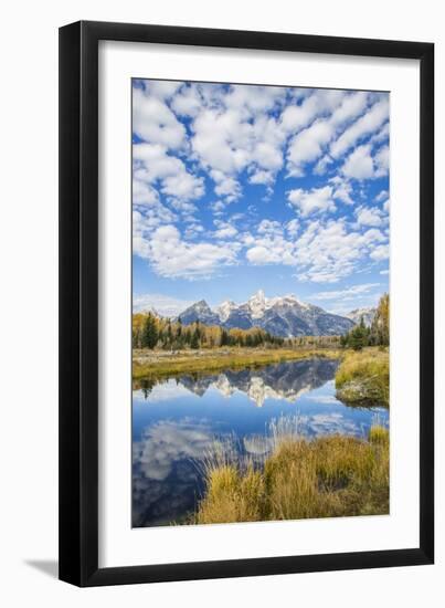 Wyoming, Autumn Color Along Snake River at Schwabacher Landing with Teton Mountains as a Backdrop-Elizabeth Boehm-Framed Photographic Print