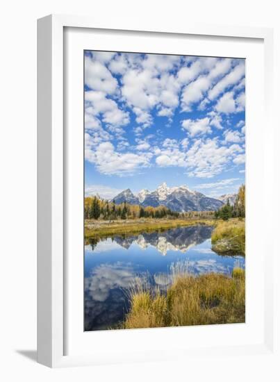 Wyoming, Autumn Color Along Snake River at Schwabacher Landing with Teton Mountains as a Backdrop-Elizabeth Boehm-Framed Photographic Print