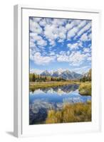 Wyoming, Autumn Color Along Snake River at Schwabacher Landing with Teton Mountains as a Backdrop-Elizabeth Boehm-Framed Photographic Print