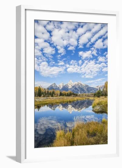 Wyoming, Autumn Color Along Snake River at Schwabacher Landing with Teton Mountains as a Backdrop-Elizabeth Boehm-Framed Photographic Print