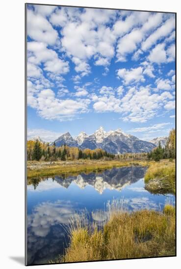 Wyoming, Autumn Color Along Snake River at Schwabacher Landing with Teton Mountains as a Backdrop-Elizabeth Boehm-Mounted Photographic Print