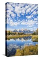 Wyoming, Autumn Color Along Snake River at Schwabacher Landing with Teton Mountains as a Backdrop-Elizabeth Boehm-Stretched Canvas