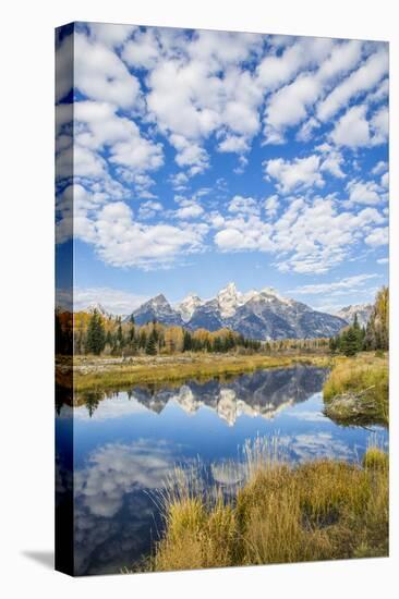 Wyoming, Autumn Color Along Snake River at Schwabacher Landing with Teton Mountains as a Backdrop-Elizabeth Boehm-Stretched Canvas