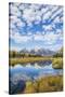 Wyoming, Autumn Color Along Snake River at Schwabacher Landing with Teton Mountains as a Backdrop-Elizabeth Boehm-Stretched Canvas
