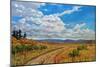 Wyoming Backroad near Vedauwoo, Wyoming-Patty Baker-Mounted Art Print