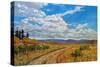 Wyoming Backroad near Vedauwoo, Wyoming-Patty Baker-Stretched Canvas