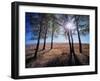 Wyoming, Bridger Teton Nf, the Suns Rays Shine Through Autumn Aspens-Christopher Talbot Frank-Framed Premium Photographic Print