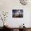 Wyoming, Bridger Teton Nf, the Suns Rays Shine Through Autumn Aspens-Christopher Talbot Frank-Photographic Print displayed on a wall