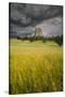 Wyoming, Devil's Tower National Monument-Judith Zimmerman-Stretched Canvas