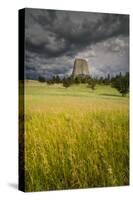 Wyoming, Devil's Tower National Monument-Judith Zimmerman-Stretched Canvas