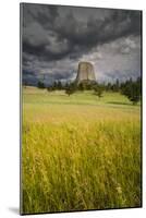 Wyoming, Devil's Tower National Monument-Judith Zimmerman-Mounted Photographic Print