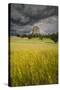 Wyoming, Devil's Tower National Monument-Judith Zimmerman-Stretched Canvas