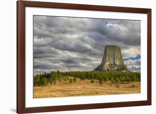 Wyoming, Devils Tower National Monument, Devils Tower-Jamie & Judy Wild-Framed Premium Photographic Print