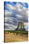 Wyoming, Devils Tower National Monument, Devils Tower-Jamie & Judy Wild-Stretched Canvas