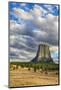 Wyoming, Devils Tower National Monument, Devils Tower-Jamie & Judy Wild-Mounted Photographic Print