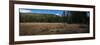 Wyoming Forest Clearing-Steve Gadomski-Framed Photographic Print