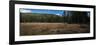 Wyoming Forest Clearing-Steve Gadomski-Framed Photographic Print