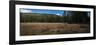 Wyoming Forest Clearing-Steve Gadomski-Framed Photographic Print