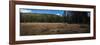 Wyoming Forest Clearing-Steve Gadomski-Framed Photographic Print