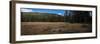 Wyoming Forest Clearing-Steve Gadomski-Framed Premium Photographic Print